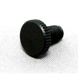 2CL2-6 Vite fine tune bolt - per Lo-Trs II tremolo
