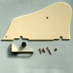 4PG12A0037 Pickguard ivory, per AF75TDG, ABS, con gold bracket