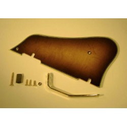 4PG1GB200 Pickguard: Wooden, for GB200