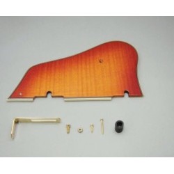 4PG12A0008 Battipenna Per ARTCORE AG96/DHS