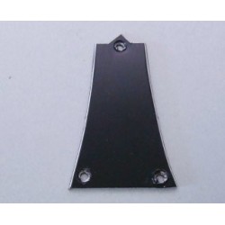 4PT12A0005 Copri truss rod per AR