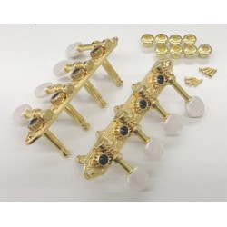 5AMH95N Meccaniche Mandolino , Oro, gold, paletta madreperla, per M700S