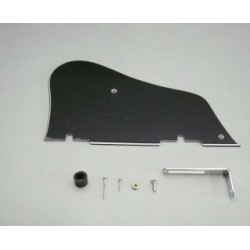 4PG12A0010 Pickguard: black 3P, for DN, ABS